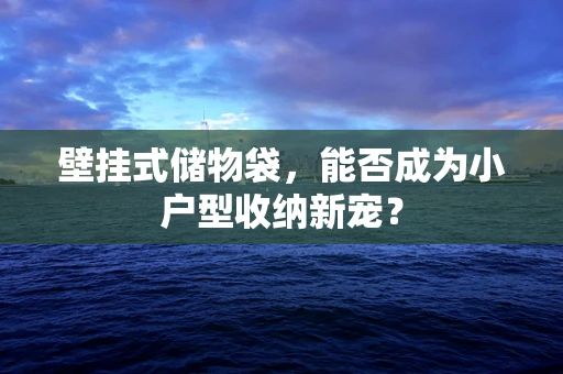 壁挂式储物袋，能否成为小户型收纳新宠？