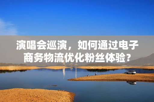 演唱会巡演，如何通过电子商务物流优化粉丝体验？