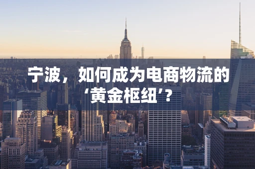 宁波，如何成为电商物流的‘黄金枢纽’？
