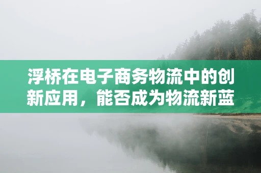 浮桥在电子商务物流中的创新应用，能否成为物流新蓝海？
