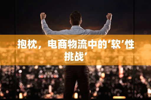 抱枕，电商物流中的‘软’性挑战’