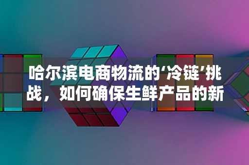 哈尔滨电商物流的‘冷链’挑战，如何确保生鲜产品的新鲜送达？
