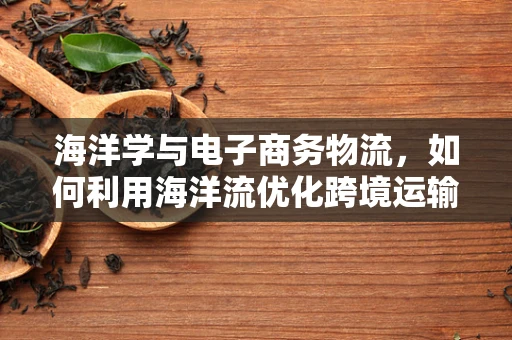 海洋学与电子商务物流，如何利用海洋流优化跨境运输？