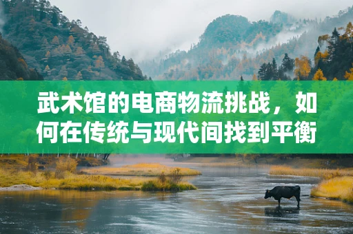 武术馆的电商物流挑战，如何在传统与现代间找到平衡？
