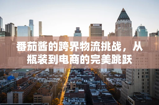 番茄酱的跨界物流挑战，从瓶装到电商的完美跳跃
