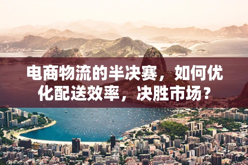 电商物流的半决赛，如何优化配送效率，决胜市场？