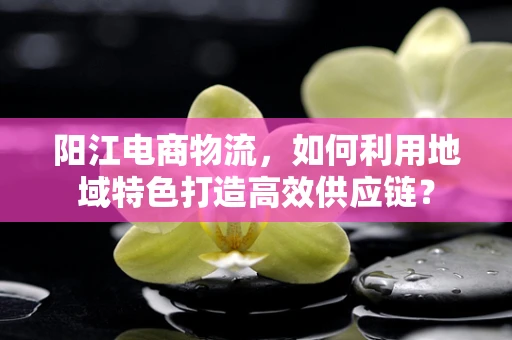阳江电商物流，如何利用地域特色打造高效供应链？