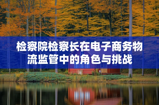检察院检察长在电子商务物流监管中的角色与挑战