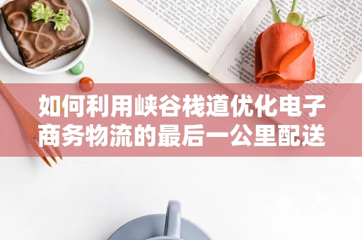 如何利用峡谷栈道优化电子商务物流的最后一公里配送？