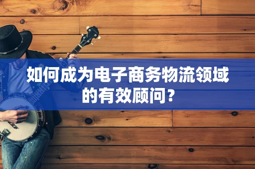 如何成为电子商务物流领域的有效顾问？