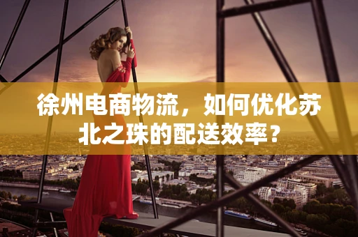 徐州电商物流，如何优化苏北之珠的配送效率？