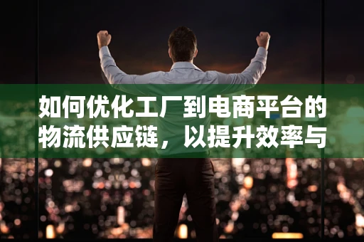 如何优化工厂到电商平台的物流供应链，以提升效率与降低成本？