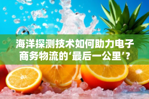 海洋探测技术如何助力电子商务物流的‘最后一公里’？