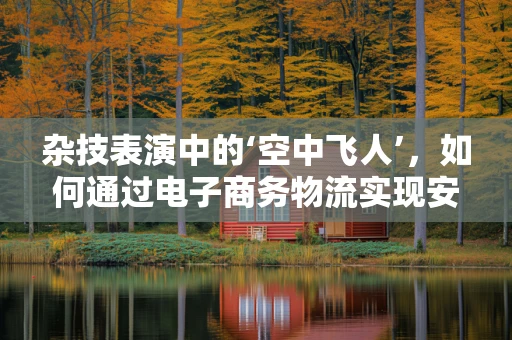 杂技表演中的‘空中飞人’，如何通过电子商务物流实现安全高效的配送？