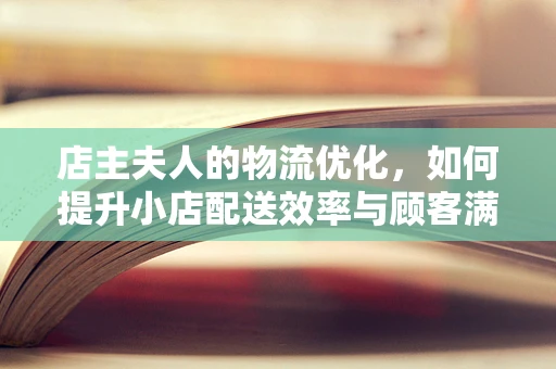 店主夫人的物流优化，如何提升小店配送效率与顾客满意度？