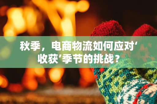 秋季，电商物流如何应对‘收获’季节的挑战？