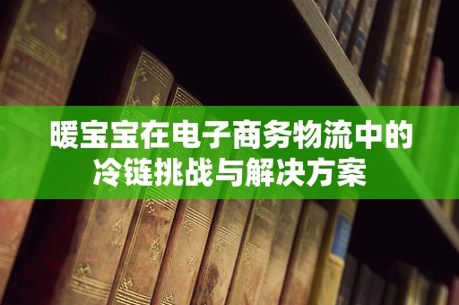 暖宝宝在电子商务物流中的冷链挑战与解决方案