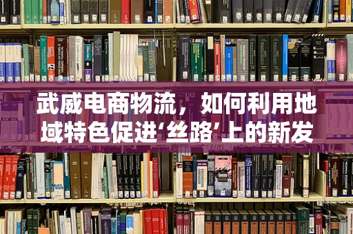 武威电商物流，如何利用地域特色促进‘丝路’上的新发展？