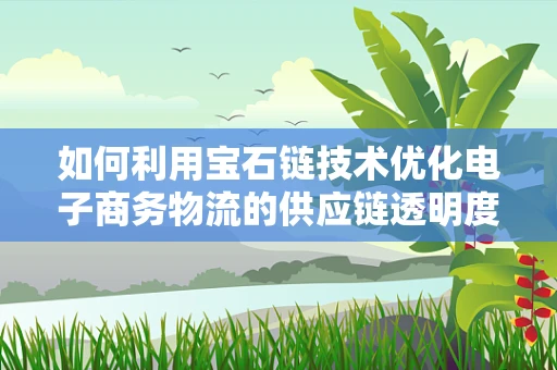 如何利用宝石链技术优化电子商务物流的供应链透明度？