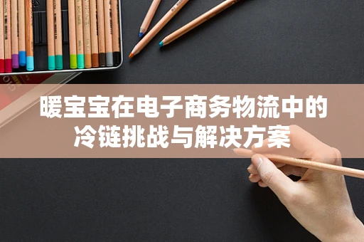 暖宝宝在电子商务物流中的冷链挑战与解决方案