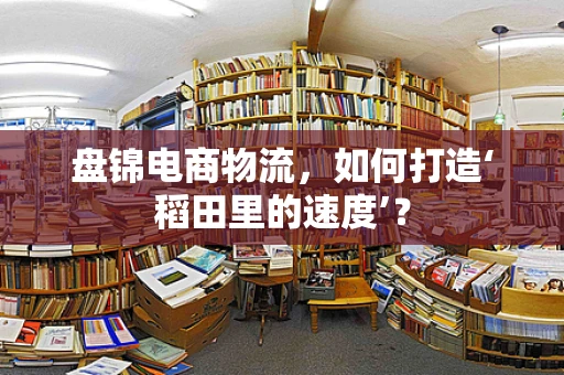 盘锦电商物流，如何打造‘稻田里的速度’？