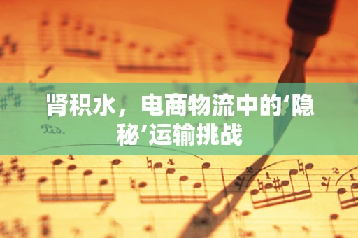 肾积水，电商物流中的‘隐秘’运输挑战