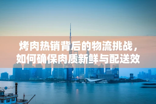 烤肉热销背后的物流挑战，如何确保肉质新鲜与配送效率？