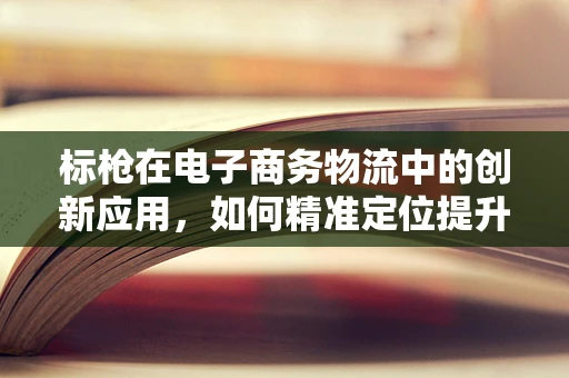 标枪在电子商务物流中的创新应用，如何精准定位提升配送效率？