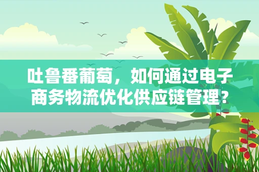 吐鲁番葡萄，如何通过电子商务物流优化供应链管理？
