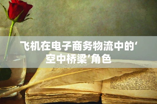 飞机在电子商务物流中的‘空中桥梁’角色