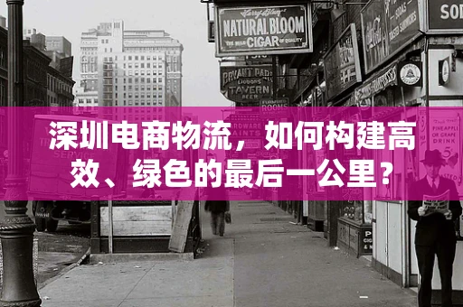 深圳电商物流，如何构建高效、绿色的最后一公里？
