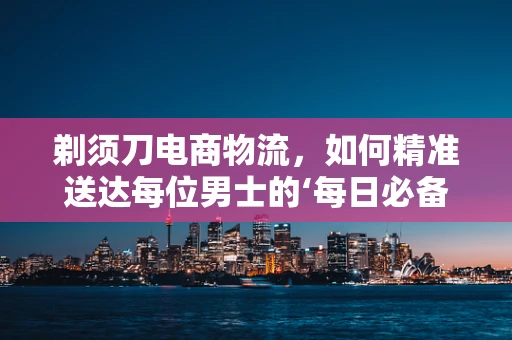 剃须刀电商物流，如何精准送达每位男士的‘每日必备’？