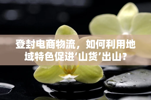 登封电商物流，如何利用地域特色促进‘山货’出山？