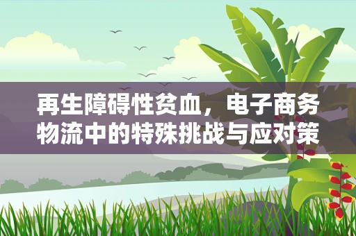再生障碍性贫血，电子商务物流中的特殊挑战与应对策略