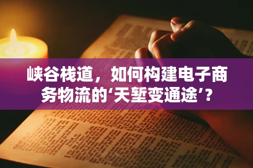 峡谷栈道，如何构建电子商务物流的‘天堑变通途’？