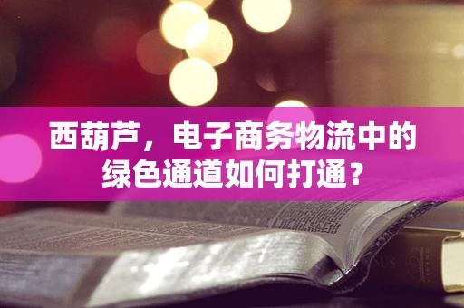 西葫芦，电子商务物流中的绿色通道如何打通？
