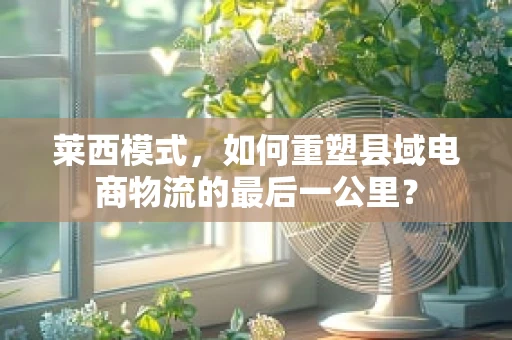 莱西模式，如何重塑县域电商物流的最后一公里？