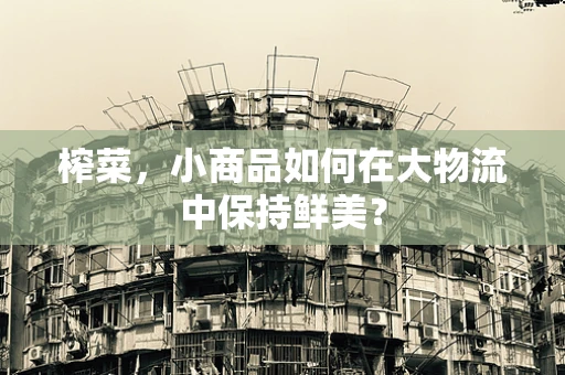 榨菜，小商品如何在大物流中保持鲜美？