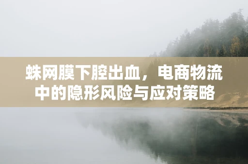 蛛网膜下腔出血，电商物流中的隐形风险与应对策略