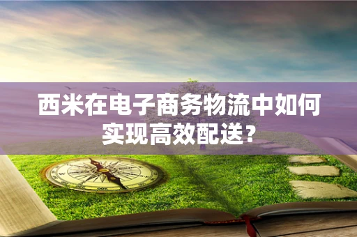 西米在电子商务物流中如何实现高效配送？