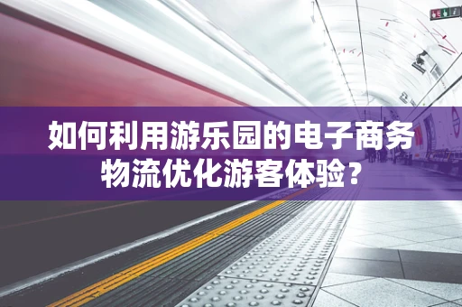 如何利用游乐园的电子商务物流优化游客体验？