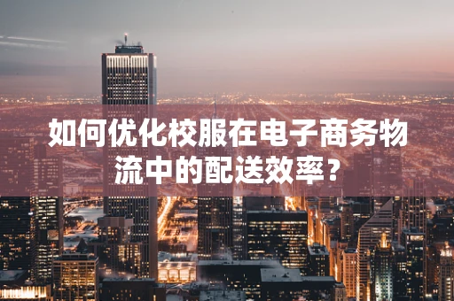 如何优化校服在电子商务物流中的配送效率？