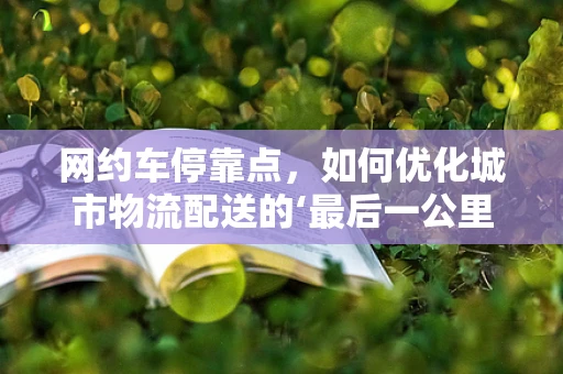 网约车停靠点，如何优化城市物流配送的‘最后一公里’？