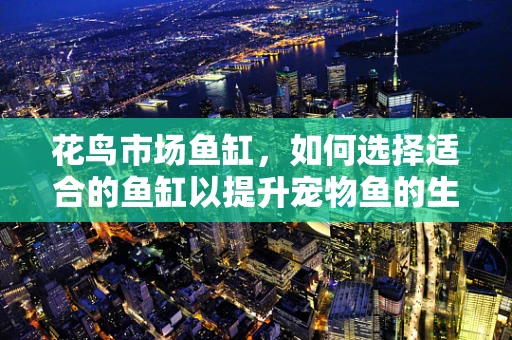花鸟市场鱼缸，如何选择适合的鱼缸以提升宠物鱼的生存环境？