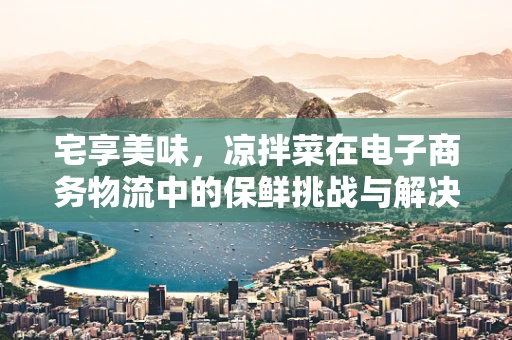 宅享美味，凉拌菜在电子商务物流中的保鲜挑战与解决方案？