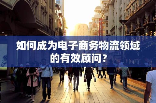 如何成为电子商务物流领域的有效顾问？