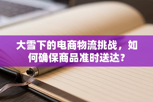大雪下的电商物流挑战，如何确保商品准时送达？