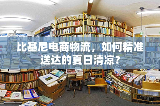 比基尼电商物流，如何精准送达的夏日清凉？