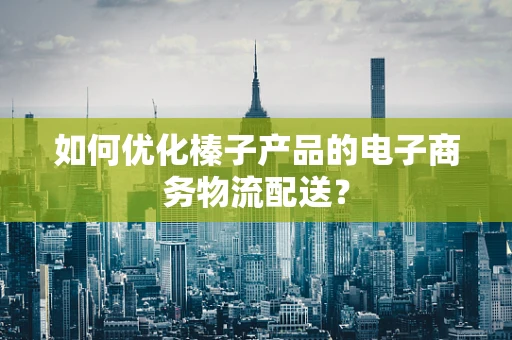 如何优化榛子产品的电子商务物流配送？