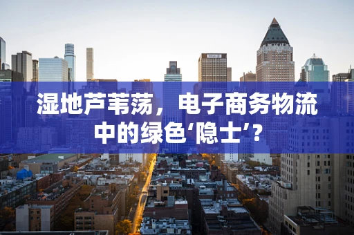 湿地芦苇荡，电子商务物流中的绿色‘隐士’？